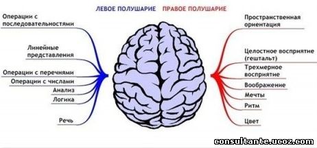 Поняття «функціональна міжпівкульна асиметрія головного мозку», згідно психологічному словнику (1999), означає характеристику розподілу психічних функцій між лівою і правою півкулями мозку і походить від грецького слова asymmetria - невідповідність